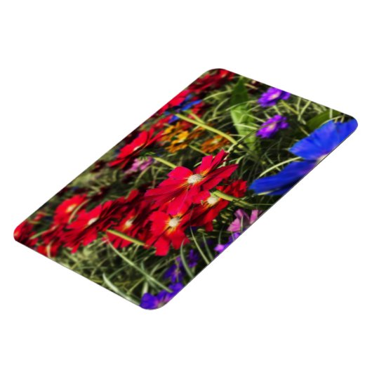 Iriserende lente flexibele magneet (Linkerzijde)