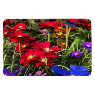 Iriserende lente flexibele magneet