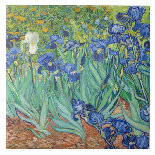 Irises (1889) Kunst van Vincent Van Gogh Tegeltje (Voorkant)