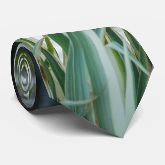 Irises À La Cravate Du Château (Roulé)