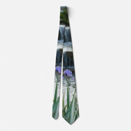 Irises À La Cravate Du Château (Dos)