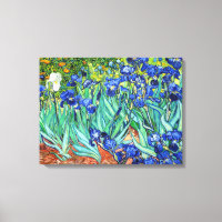 Irises by Vincent Van Gogh