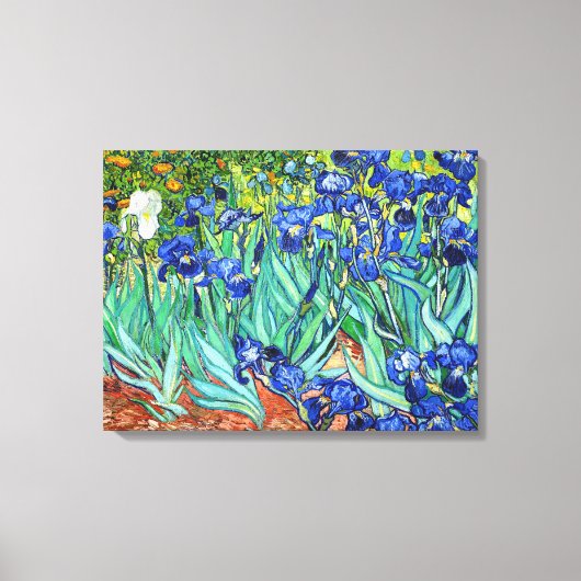 Irises by Vincent Van Gogh Canvas Afdruk (Voorkant)