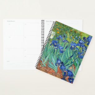 Irises de Van Gogh.