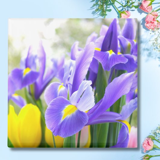 Irises en Tulps Spring Flowers Magneet