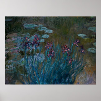 Irises en waterlilies poster