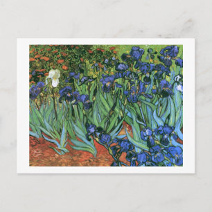 Irises (F608) Van Gogh Fine Art Briefkaart