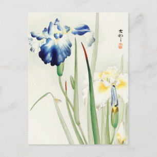 Irises Floral Flower Painting by Ohara Koson Briefkaart