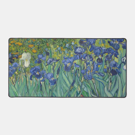 Irises, Floral Oil Painting, Vincent Van Gogh (Recto)