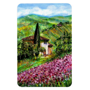 IRISES IN TUSCANY MAGNEET