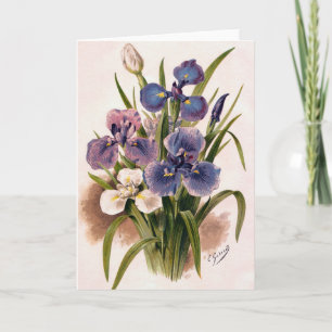 Irises Japonais - Iris Kaempferi - Carte de voeux