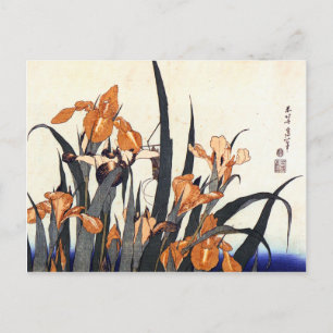 Irises, Katsushika Hokusai Briefkaart