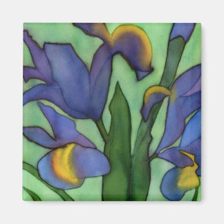 Irises Magnet