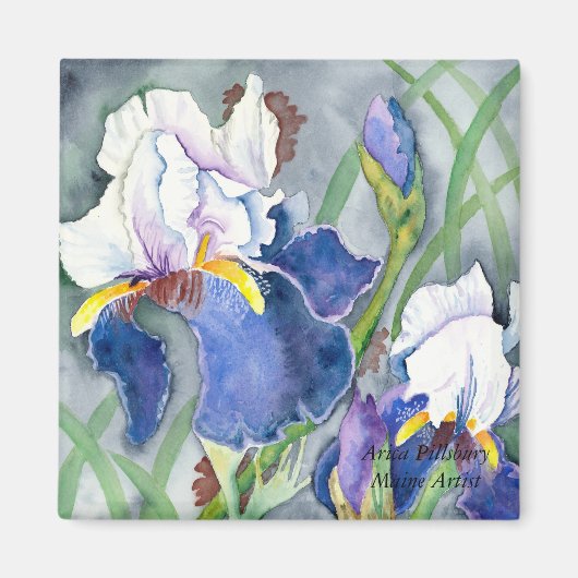 IRISES Magnet (Devant)