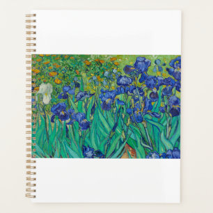 Irises par Vincent van Gogh