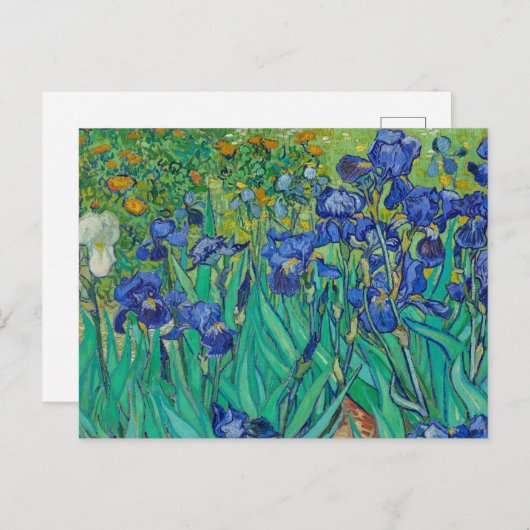 Irises par Vincent van Gogh Carte Postale (Devant / Derrière)