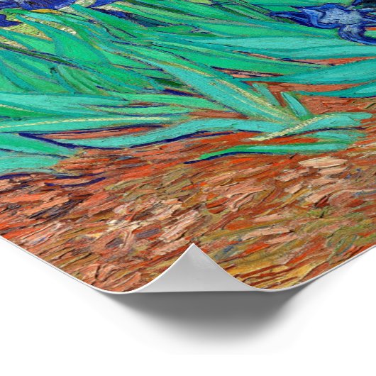 Irises Poster (Hoek)