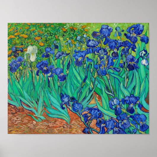 Irises Poster (Voorkant)