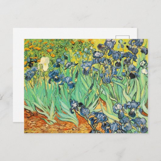 Irises - Van Gogh - c1889 Briefkaart (Voorkant / Achterkant)
