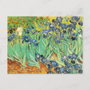 Irises - Van Gogh - c1889 Briefkaart