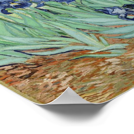 Irises - Van Gogh Print (Hoek)