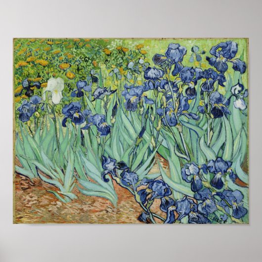 Irises - Van Gogh Print (Voorkant)