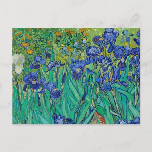 Irises van het Briefkaart Vincent van Gogh (Voorkant)