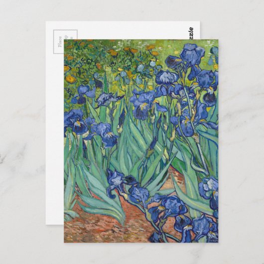 Irises van Van Gogh Briefkaart (Voorkant / Achterkant)