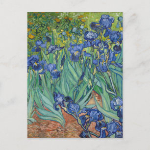 Irises van Van Gogh Briefkaart