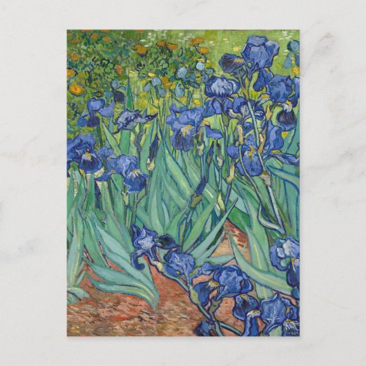 Irises van Van Gogh Briefkaart (Voorkant)