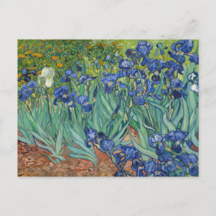 Irises van Van Gogh Briefkaarten