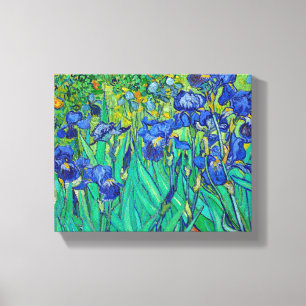 Irises van Van Gogh Canvas Afdruk