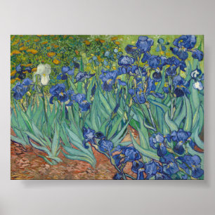 Irises van Van Gogh Poster