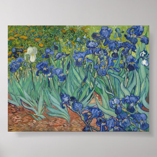 Irises van Van Gogh Poster (Voorkant)