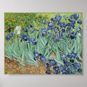 Irises van Van Gogh Poster