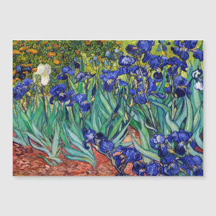 Irises van Vincent van Gogh