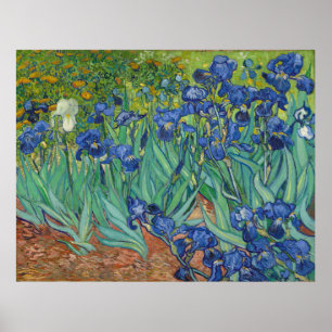 Irises van Vincent Van Gogh 1889 Poster