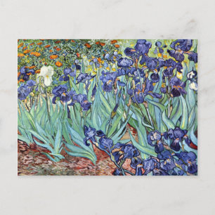 Irises van Vincent van Gogh 1898 Briefkaart