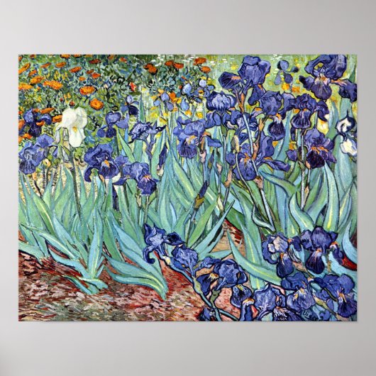 Irises van Vincent van Gogh 1898 Poster (Voorkant)