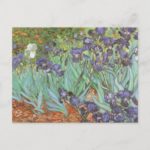 Irises van Vincent van Gogh Briefkaart