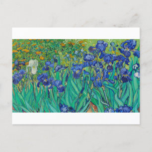 Irises van Vincent van Gogh Briefkaart