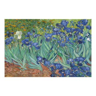Irises van Vincent van Gogh Foto Afdruk