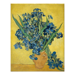 Irises van Vincent Van Gogh Foto Afdruk
