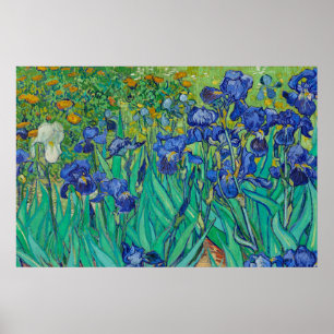 Irises van Vincent van Gogh Poster