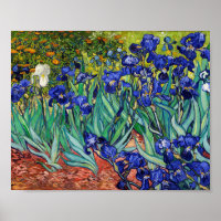 Irises van Vincent van Gogh