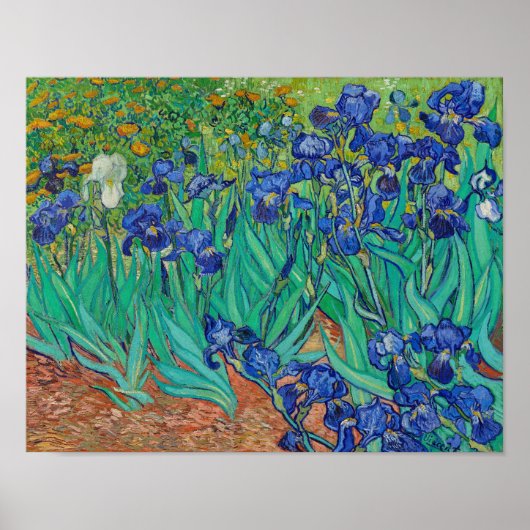 Irises van Vincent Van Gogh Poster (Voorkant)