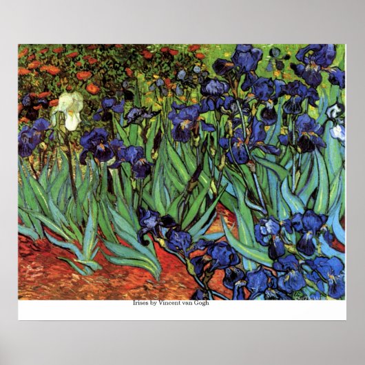 Irises van Vincent van Gogh Poster (Voorkant)
