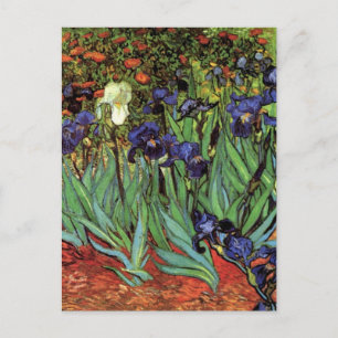 Irises van Vincent van Gogh,  tuinkunst Briefkaart