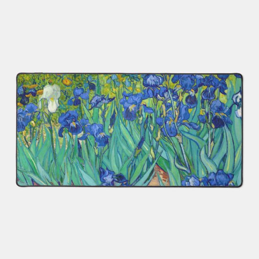 Irises, Vincent van Gogh (Recto)
