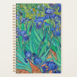 Irises Vincent van Gogh